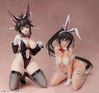 Shinovi Master Senran Kagura: New Link - Asuka - B-style - Bunny Ver. - 1/4