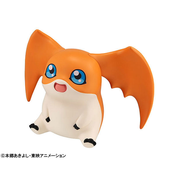 Digimon Adventure Patamon Look Up