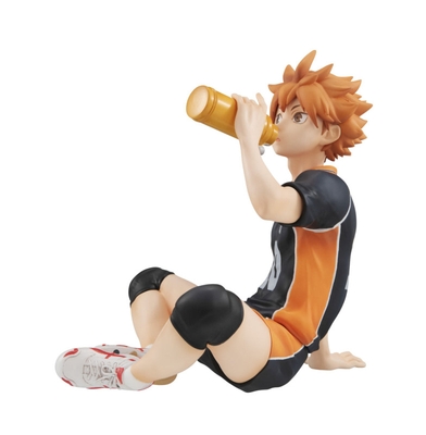 Haikyuu!! - Hinata Shouyou - G.E.M. - Tenohira