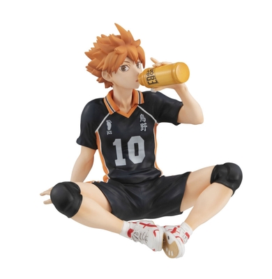 Haikyuu!! - Hinata Shouyou - G.E.M. - Tenohira