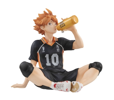 Haikyuu!! - Hinata Shouyou - G.E.M. - Tenohira