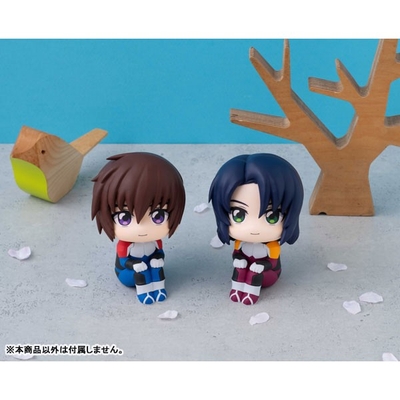 Kidou Senshi Gundam Seed Freedom - Kira Yamato - Look Up