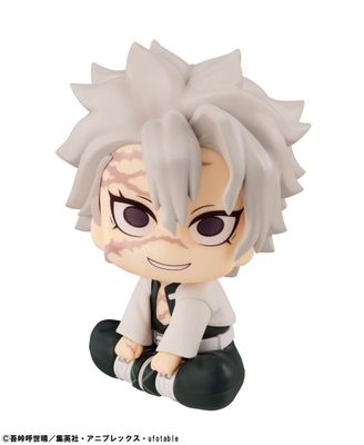 Kimetsu no Yaiba - Shinazugawa Sanemi - Look Up