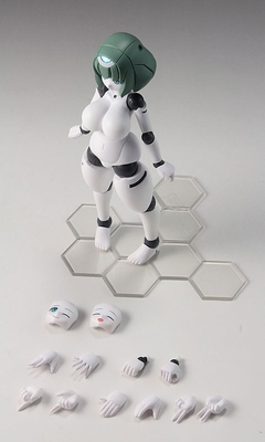 Robot Neoanthropinae Polynian - Polynian - FLL Ianna