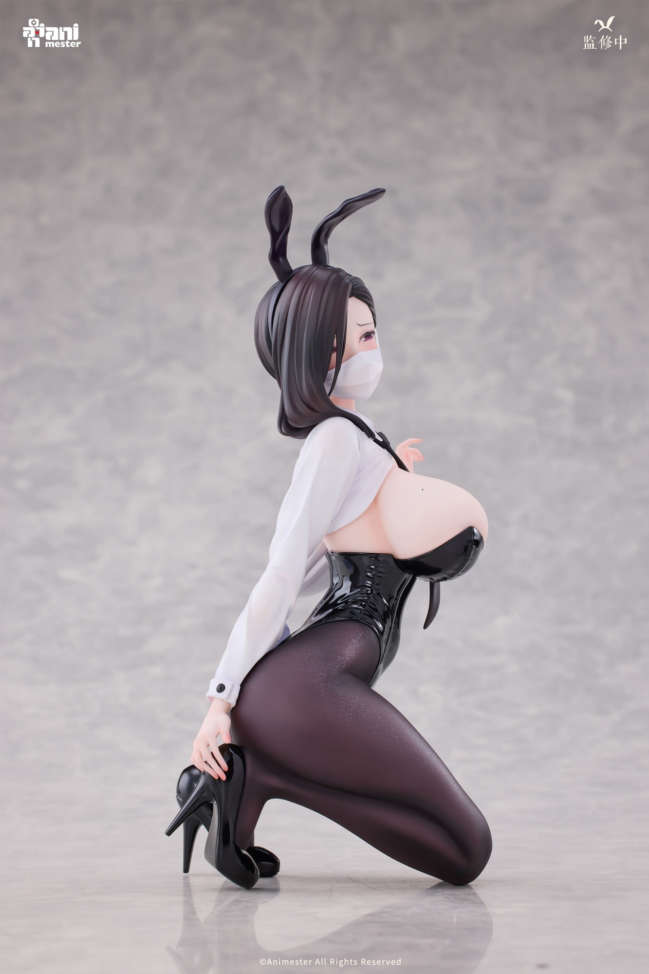 AniMester Dongtan Bunny Ver. 1/6 Plastic Figure - 2