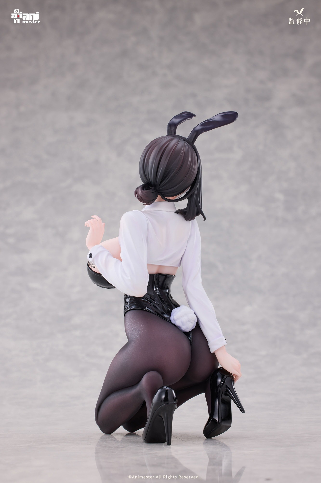 AniMester Dongtan Bunny Ver. 1/6 Plastic Figure - 3