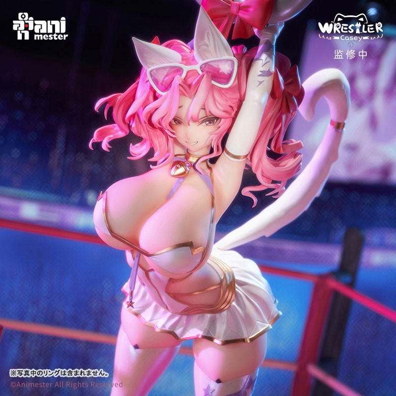 Original - NyanNyan Girl Wrestler Casey - 1/6 - 2