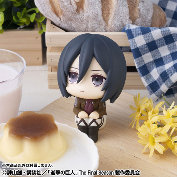 Shingeki no Kyojin - Mikasa Ackerman - Look Up - 6