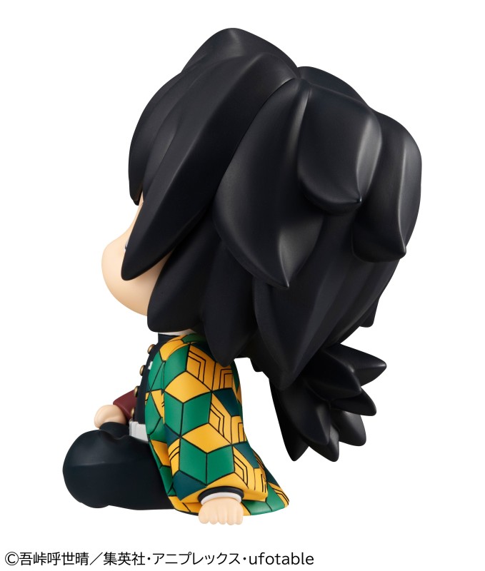 Kimetsu no Yaiba - Tomioka Giyuu - Look Up - 7