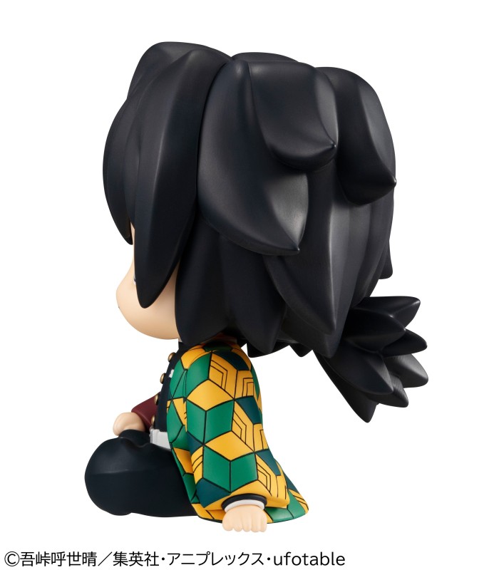 Kimetsu no Yaiba - Tomioka Giyuu - Look Up - 5