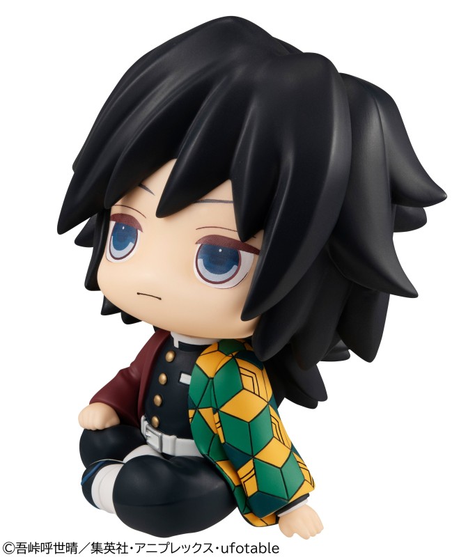 Kimetsu no Yaiba - Tomioka Giyuu - Look Up - 8