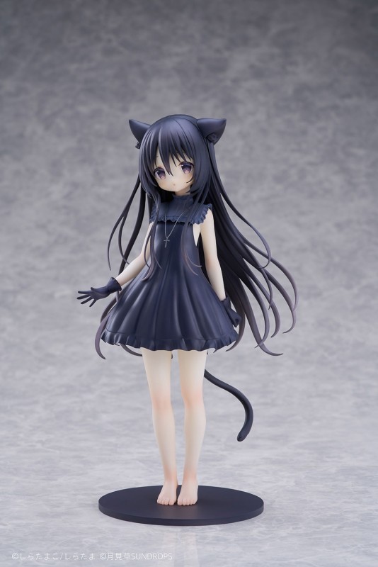 Hoshizora Tetsudou to Shiro no Tabi - Noir - 1/7 - 6