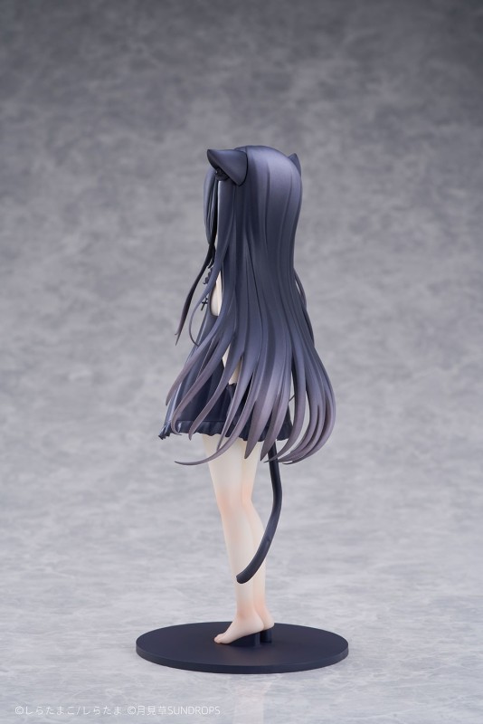 Hoshizora Tetsudou to Shiro no Tabi - Noir - 1/7 - 8
